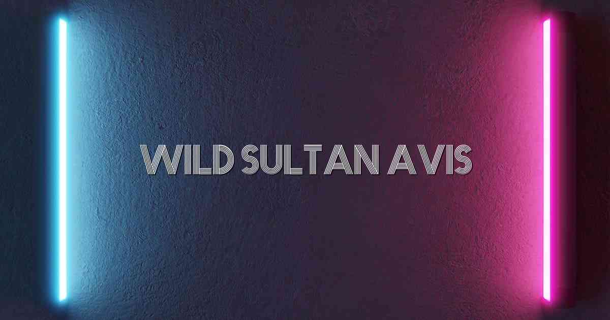 Wild Sultan Avis